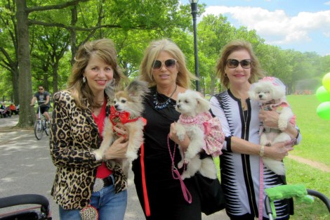 Bella Mia and friends 5edited