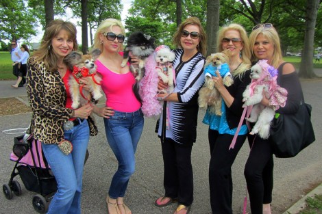 Bella Mia and friendsedited