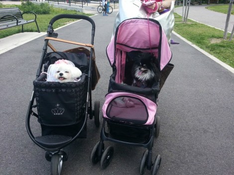 Bella Mia and Giaedited