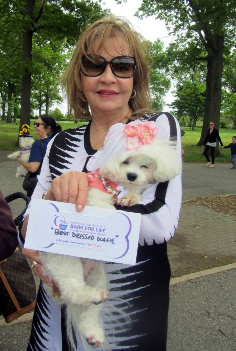 Bella Mia wins Best Dressededited