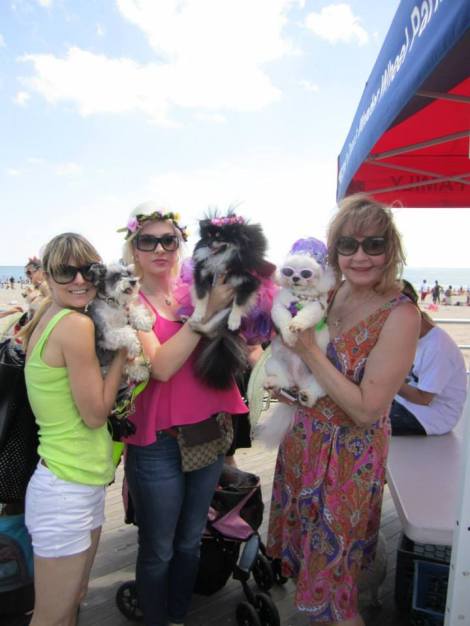 10403689_502195166547218_4397452989211948935_n