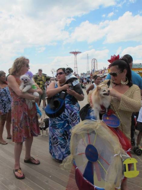 10419607_502195159880552_6082425258064583093_n