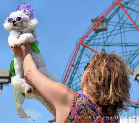 10452329_502195326547202_1246402740367884510_n