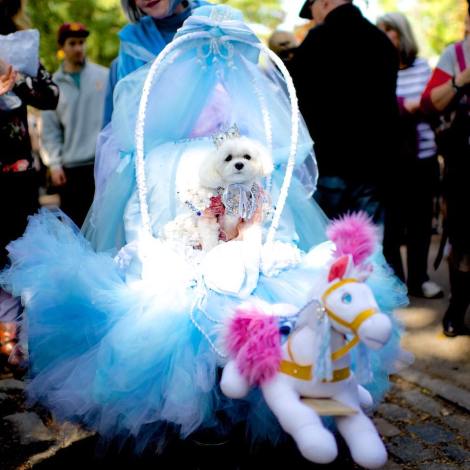 10422138_733397743407715_5708829471864974833_n