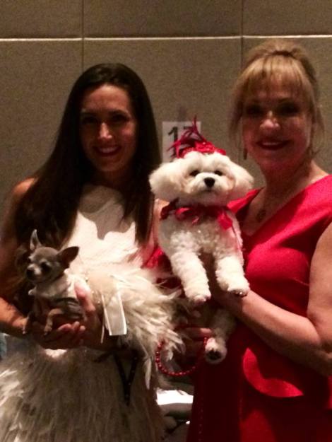 Bella Mia becomes a true "Southern Belle" with Danielle Yancey from Bravos Jersey Belle — with Danielle H Yancey 