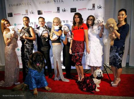 Bella Mia and her Friends