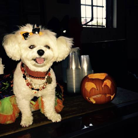 Mommy can we go home now ~ Hugs from Bella Mia xoxo ‪