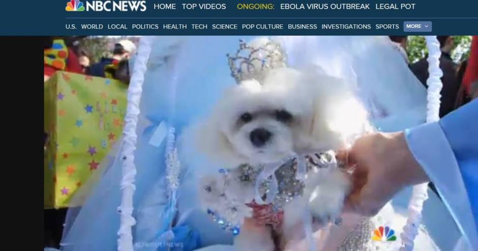 Bella Mia featured on the National Nightly News with Brian Williams on NBC with Anthony Rubio Designs and Wendy Agramonte Foskey