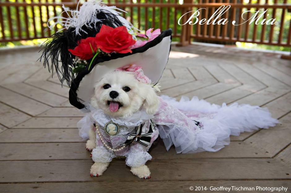 10631122_524102404356494_7606899006992786250_o