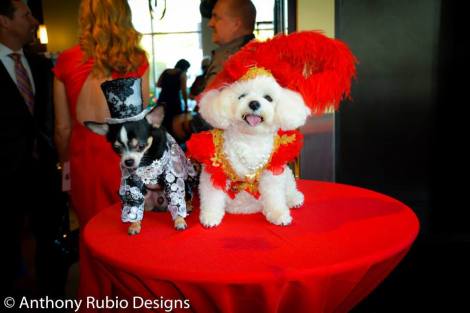 10678672_836516923049340_4613469001866488487_n