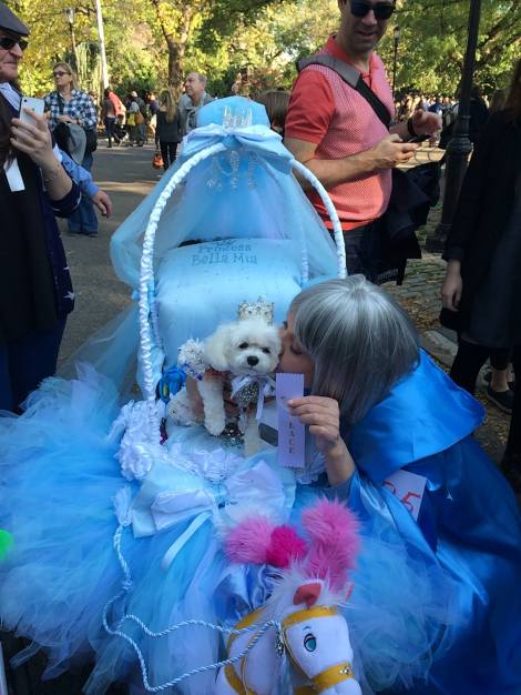 Cinderella Bella Mia wins 3rd place Tompkins Square Park Halloween Dog Parade ~ Hugs from Princess Bella Mia and Mommy xoxo Wendy Agramonte Foskey and Anthony Rubio Designs ~ Thank you both we had a wonderful day  ! — at Tompkins Square Halloween Dog Parade.
