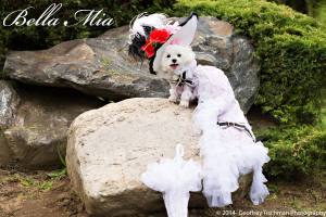 Fashionista | Hugs From Bella Mia