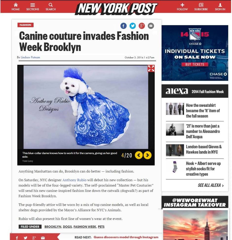 Bella Mia is featured in The Daily News