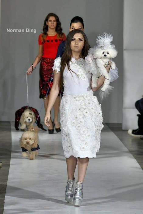 1620753_544656518967749_3381540214795538020_n