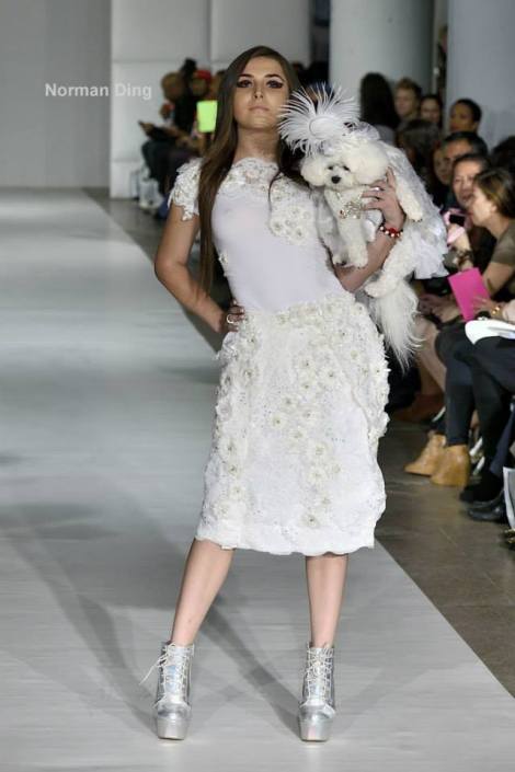 1800358_544656552301079_6990245565993079926_n