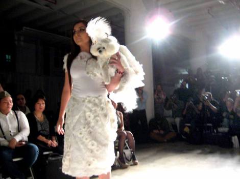 Bella Mia floats like an angel