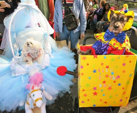 1922357_10203488564720890_3831620316286163990_n