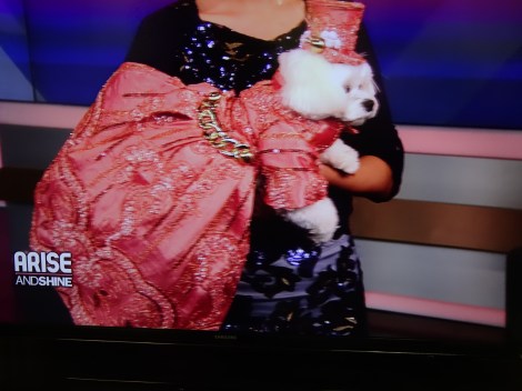 Bella Mia models for Anthony Rubio Design on the morning show Arise and Shine 