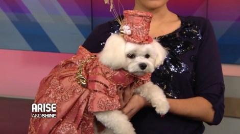 Bella Mia models for Anthony Rubio Design on the morning show Arise and Shine 