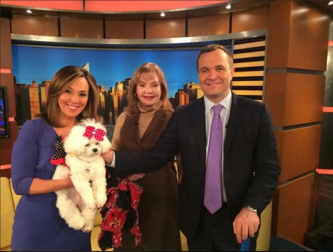 bella miaFOoX Untitled