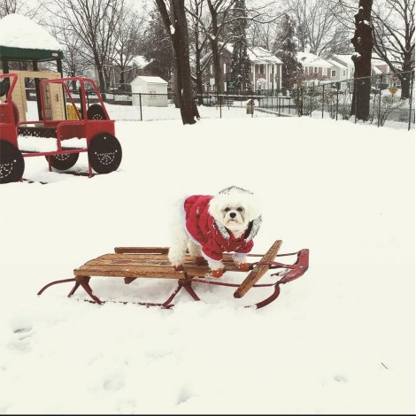 bella miaFOoX5 Untitled