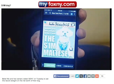 bella miaFOX Untitled