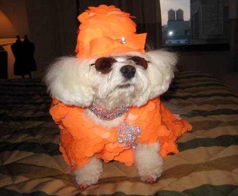 10422213_600899766676757_1062731137760685642_n