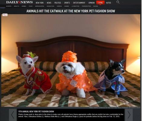 10991650_596848887081845_4123951601451037747_o