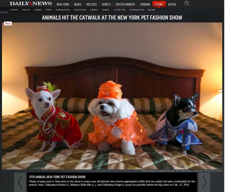 10991650_596848887081845_4123951601451037747_o