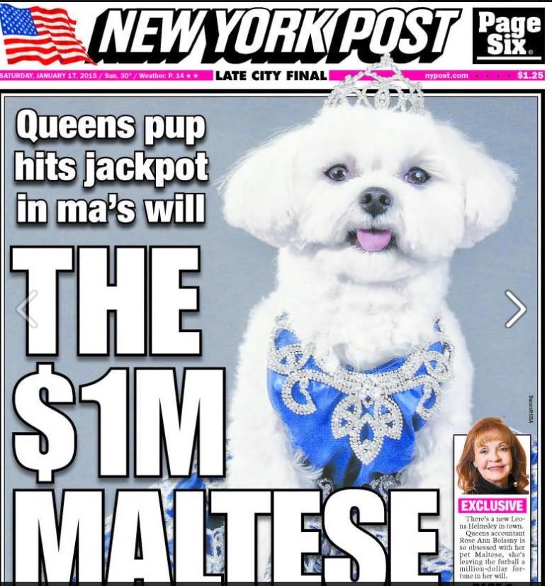 11015434_1609160002651908_1215985797_n