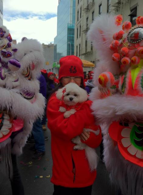 11023818_600350640065003_4887241396670716573_n