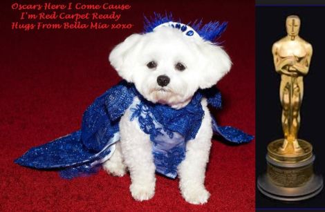 1559327_599075320192535_8240126617562164768_o